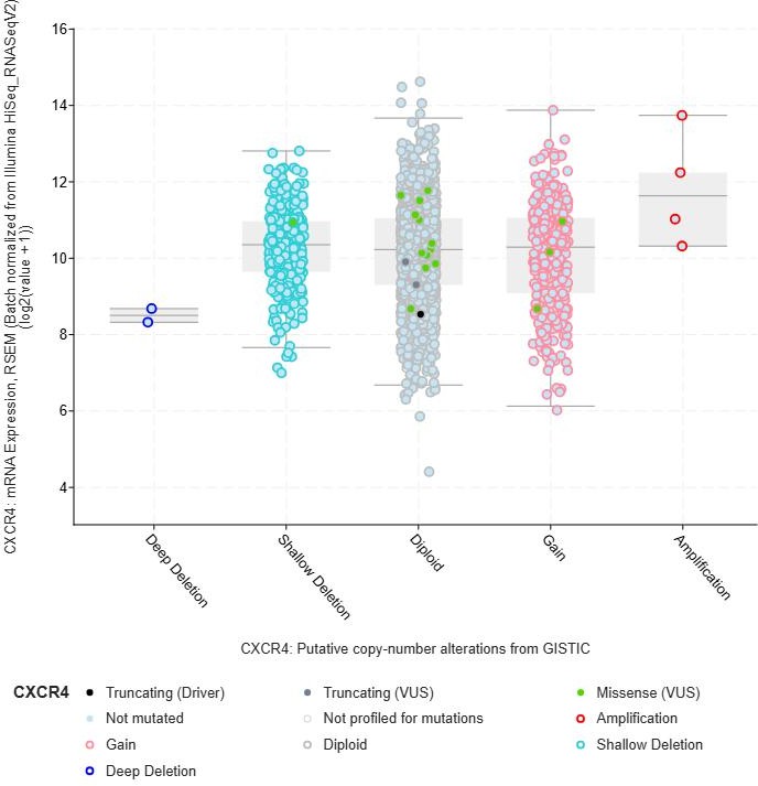 Correlation between CXCR4 copy-number alterations and mRNA expression in cBioPortal
