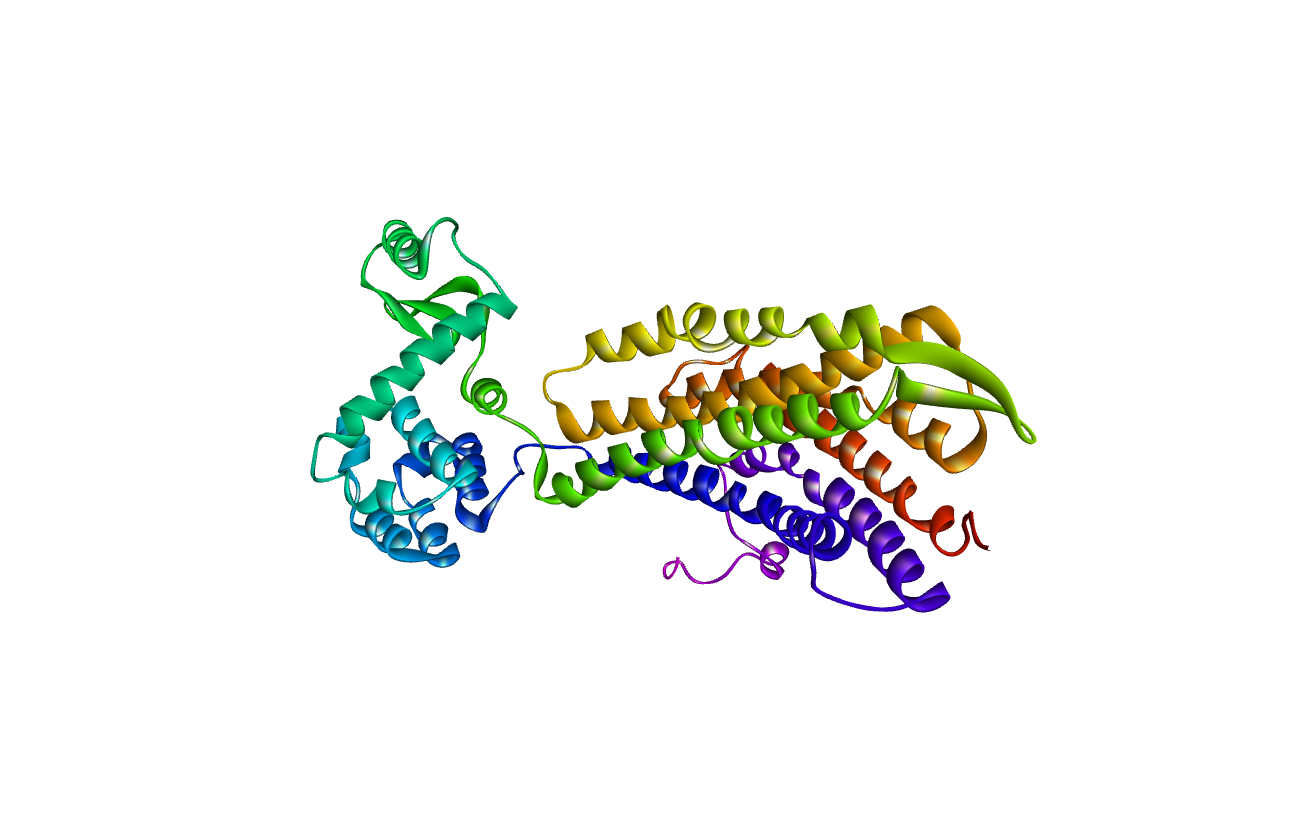 Three-dimensional ribbon structure of human CXCR4 receptor (PDB ID: 3ODU)
